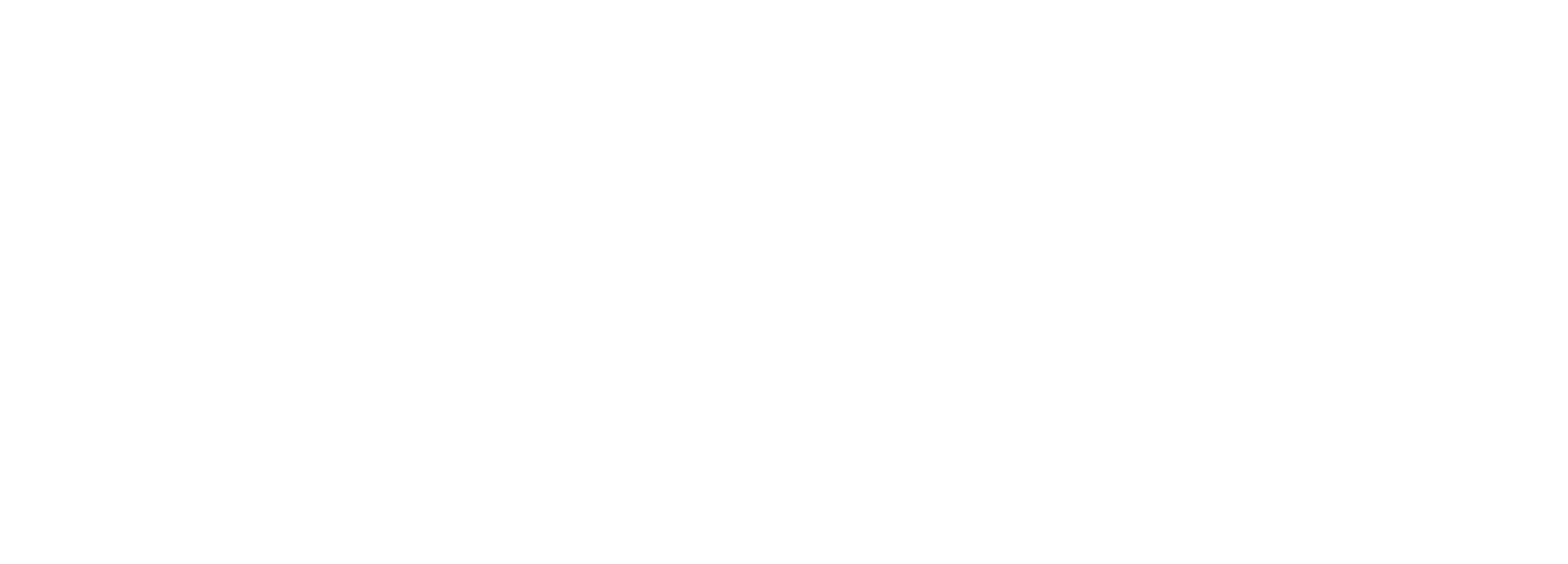 شعار النظام